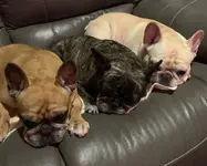 Three generation 1-14-19.webp