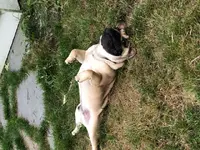 Ollie 2020.webp