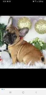 Screenshot_20201217-202415_Facebook.webp