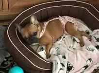 darla.jpg darla.jpg