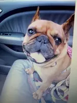 Penny 2-min.webp