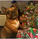 Xmas.webp
