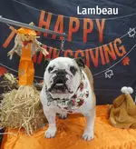 Beau tday 22.webp