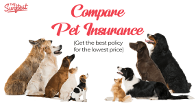 compare_pet_insurance_1 (1).png