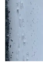 Signs of Frenchie Snow.webp
