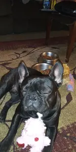 20240409_012046.webp