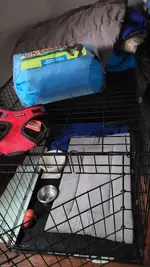 20240420_163817.webp