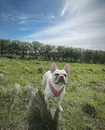 D61DC3DF-563A-481D-97A8-1B13AE670AEC.webp
