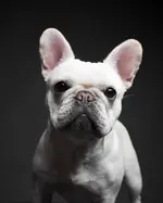 Photo contest thumbnail