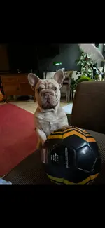 Photo contest thumbnail