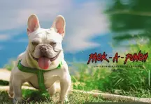 att.twogMSZcxEpG_iHo3yUfFnS2HHDxbAZ_3Y2jGkzUvhk.webp