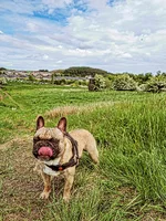IMG_20260530_112842_912.webp