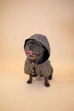 temp_image_64F78BC0-01DA-4529-AEEC-0B08C41C4C47.webp