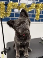 IMG_5924.webp