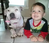 2012-10-07 12.52.31-1.webp
