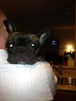 Banks.Cheli around the house 018.webp