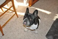DSC_0797.webp