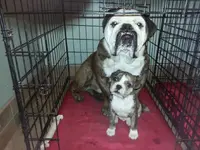 20130208_133140 - Copy.webp