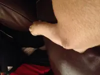 ollie elbow.webp