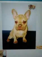 uploadfromtaptalk1394722215575.webp