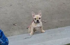 1546386_10152120398673540_184277090_n.webp