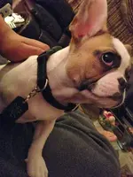 riley lookiing.webp