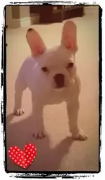 CYMERA_20140208_184912.webp