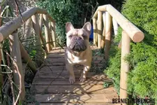 SAM_1710sig.webp