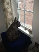 cheli at window 001.webp cheli at window 001.webp