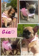 PhotoGrid_1396899217443.webp