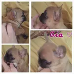 PhotoGrid_1396896797738.webp