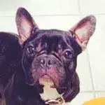 edith.webp