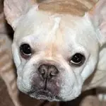 wrigley.webp wrigley.webp