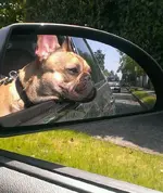 IMAG0838_1.webp