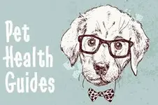 pethealthguideimage1.webp