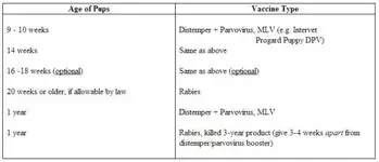 vaccinations.webp