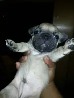 uploadfromtaptalk1400697394170.webp