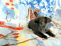 6 weeks a.webp