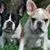 1earup.webp