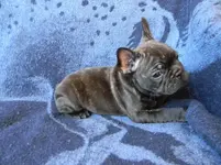 7 weeks c.webp