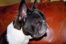 ImageUploadedByTapatalk1403232647.408516.webp