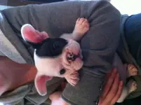 photo 1.webp