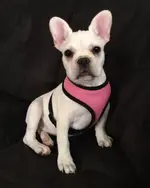 IMG_1673.webp IMG_1673.webp