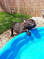 20140620_111130.webp
