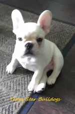 Henri 04-16-14-1.webp
