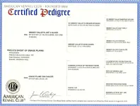 Ghost_Pedigree-20120628-100722.webp