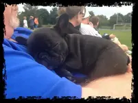 sleeping baby (640x480).webp sleeping baby (640x480).webp