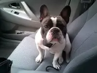sarge7.20.2014.webp