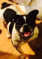 Etta.webp Etta.webp