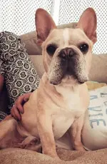 leroy.webp leroy.webp